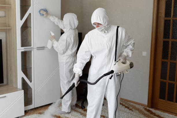 24/7 Emergency Odor Removal experts in Harrison, AR