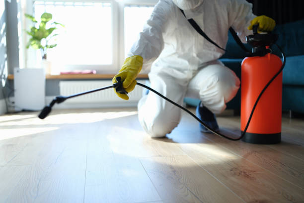 Reliable Odor Removal contractor in Harrison, AR by Dulley Family Biohazard Services